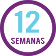 12 semanas de Curso Superior